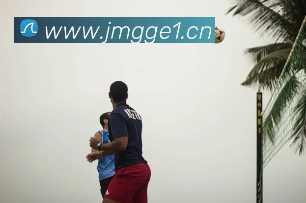 App Interface Preview