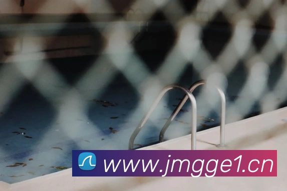 星空网官网登录入口APP 封面图